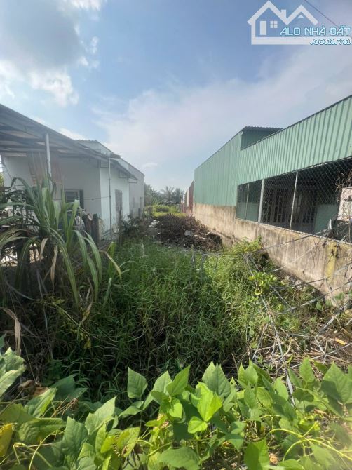 Đất lọt khe Mỹ Hạnh Nam 120m2 giá 1ty1 chủ ngộp bán gấp giá rẻ