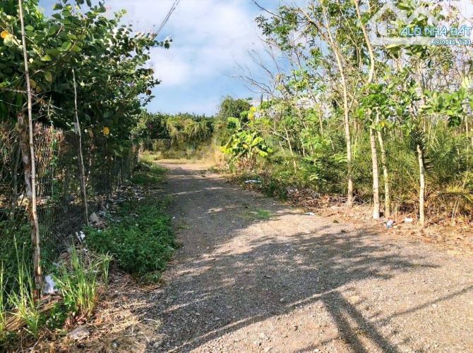 Đất 3 Mặt Tiền đường Vành Đai 4, Bình Minh - Trảng Bom. 8600m2. Giá chỉ 800k/m2