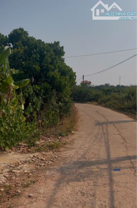 Cần Đẩy Gấp lô đất Trung Tâm phường chũ mặt đường 33m giá F0