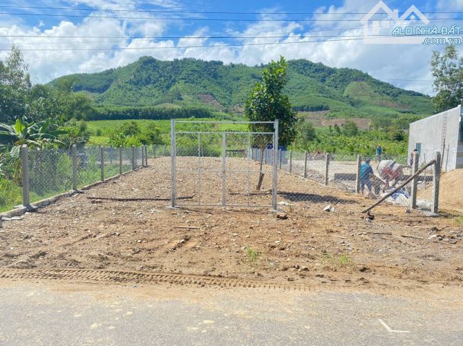 HẠ GIÁ 100TR CẦN BÁN NHANH LÔ ĐẤT MT HL62 KHÁNH PHÚ-KHÁNH VĨNH-KHÁNH HOÀ