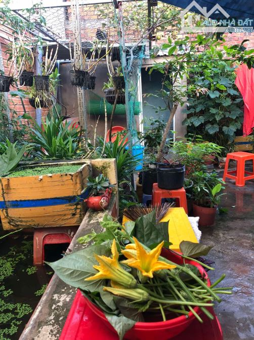 Nhà Cấp 4, Mặt Tiền Đường Nguyễn Đáng P7, Tp Trà Vinh