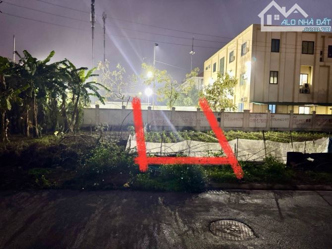 Ô Tô Tránh,Sát QL17,Trường Học,Chợ Keo.Bán Đất Kim Sơn-Gia Lâm,Dt 82m2,Giá 5.2 Tỷ. - 2