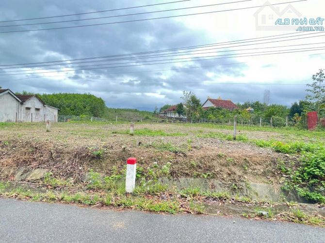 BÁN LÔ ĐẤT TL8C - KHÁNH HIỆP, THÔN HÒN LAY – CÓ SẴN THỔ CƯ, GIÁ TỐT - 1
