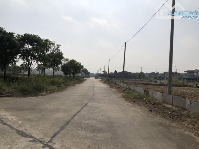 CÓ 2 LÔ 81M2 NHÌN RA VƯỜN HOA KHU ĐẤU GIÁ ĐÌNH TỔ, ĐẤT PHÂN LÔ VỈA HÈ, VỊ TRÍ ĐẸP NHẤT KHU - 1