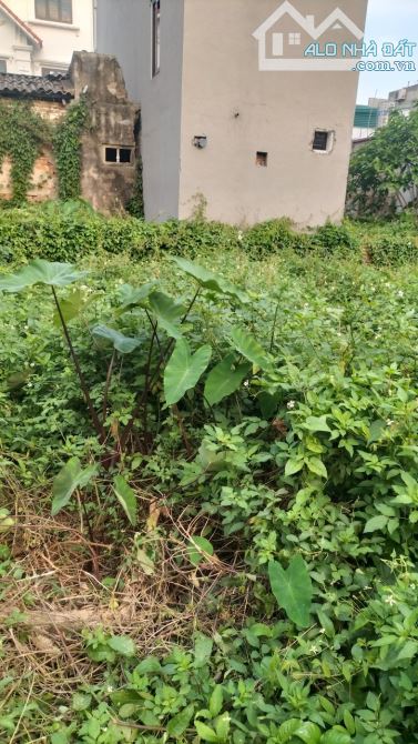 CẦN BÁN GẤP MẢNH ĐẤT DA TÔN GIÁ 4,1 TỶ Ô TÔ VÀO TẬN ĐẤT - 1