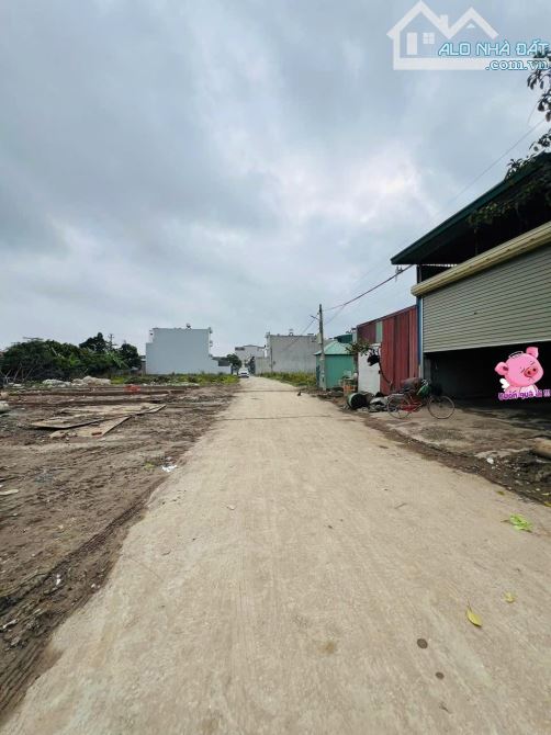 ❌❌100m2 RẺ NHẤT tuyến 1 CC Văn Cú, An Đồng giá chỉ 2,4x tỷ. - 1