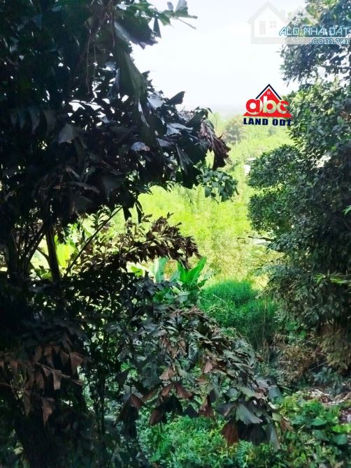 NP308 🏠BÁN NHÀ MẶT TIỀN QUỐC LỘ 1A. Gần GX THÁI HOÀ. HỐ NAI 3. TRẢNG BOM. Giá Ngộp. 4,5 t - 1