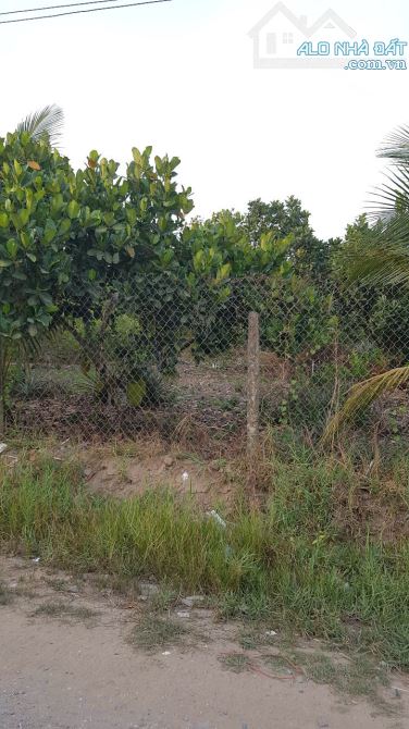 Cần bán lô đất mặt tiền Trường Đông - 1
