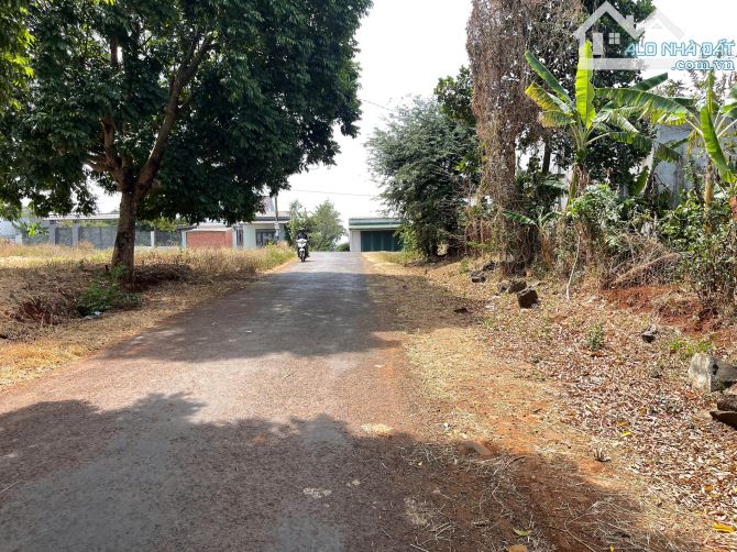 💥Lô TC 7*42m,Đg B4,Phạm Ngũ Lão,thôn 4,Tỉnh lộ 5,gần Vành Đai,nhiều lô khác - 1