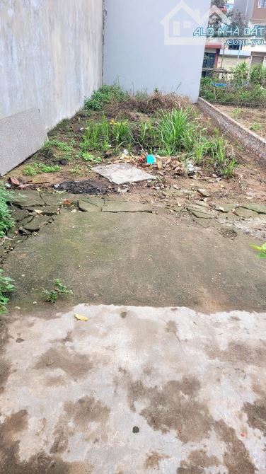 Đất trung tâm Trâu Quỳ – Gần Vinhome, tiện ích đầy đủ, giá hợp lý. - 1