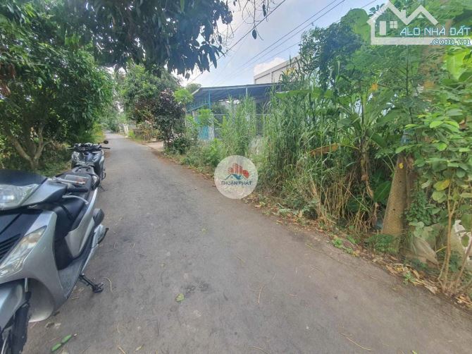 📌 SIÊU HOT: BÁN CẶP ĐẤT NỀN - KÊNH NGANG - TP. CAO LÃNH - 1