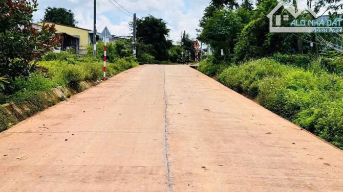 Bán lô đất hẻm  473 YMoan - Cuối Y mol rẻ trái - 1
