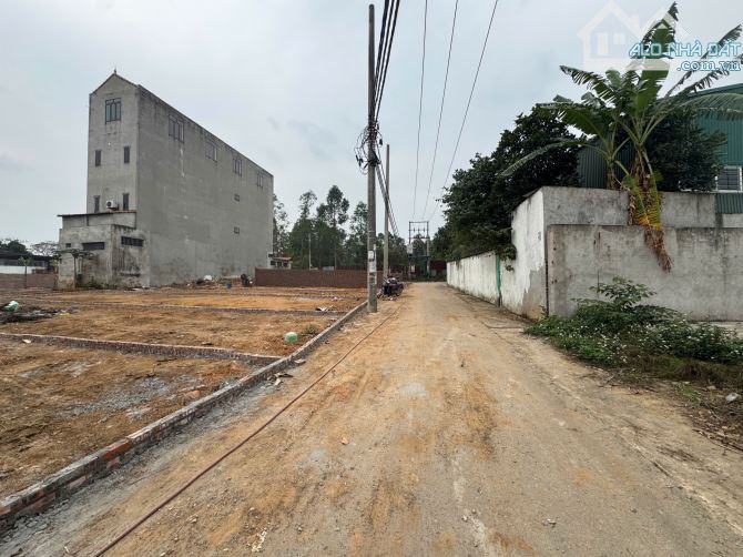 Bán đất khu hành chính 16, Phường Liên Bảo, Vĩnh Yên, Vĩnh Phúc - 2