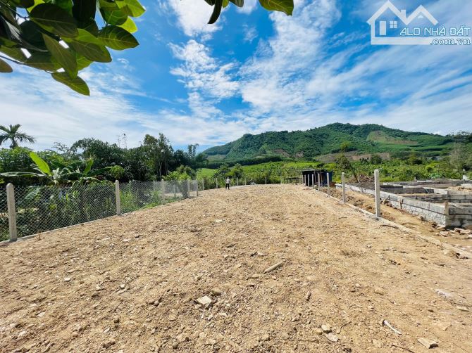 bán đất 558m2 xã Khánh Phú, Khánh Vĩnh ngang 10m đường nhựa Hương Lộ 62 giá rẻ - 2