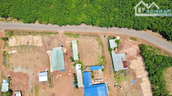 250 triệu giá thực hình ảnh đất thực sang tên cho ai có nhu cầu kinh doanh - 2