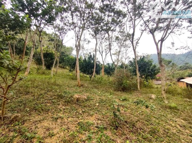 🔥 CƠ HỘI VÀNG! BÁN ĐẤT ĐẸP ĐÀ BẮC – 13.590M², SÁT CAO TỐC, GẦN TRUNG TÂM – ĐẦU TƯ SINH LỜ - 2