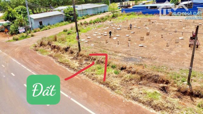 250 triệu giá thực hình ảnh đất thực sang tên cho ai có nhu cầu kinh doanh - 3