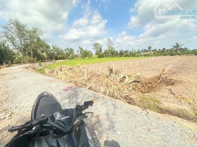 Hàng Vip, chỉ 999tr sở hữu 1000m2 đất vườn chuyển thổ view kênh - 3
