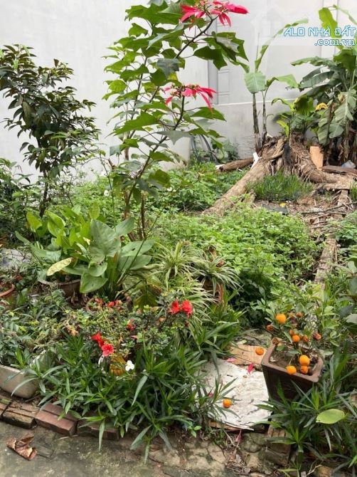 42M2 ĐẤT VÀNG NGỌC THUỴ MT4M KHÔNG QH-TRƯỚC ĐẤT 2,5M 2 NHÀ RA OTO TRÁNH HƠN 4 TỶ - 3
