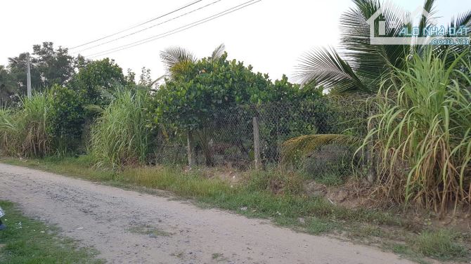 Cần bán lô đất mặt tiền Trường Đông - 3