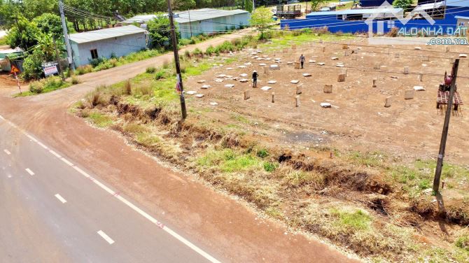 250 triệu giá thực hình ảnh đất thực sang tên cho ai có nhu cầu kinh doanh - 4