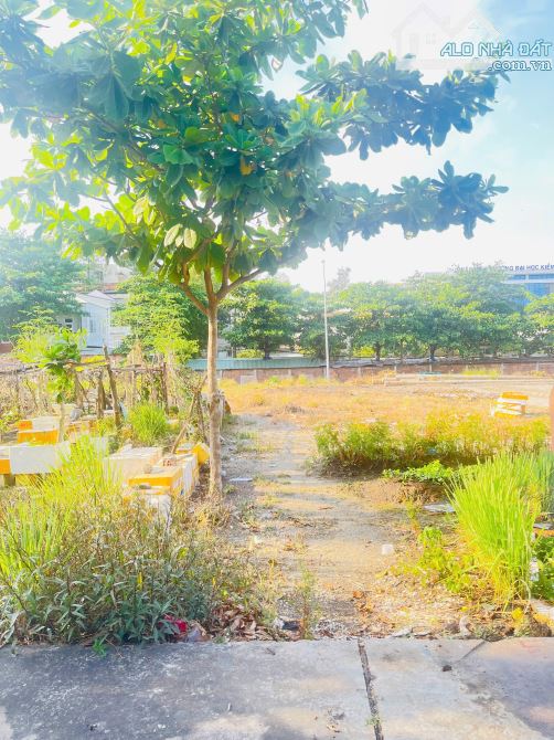 Bán lô đất mặt tiền đường 447B, Lê Văn Việt, Tăng Nhơn Phú A giá 7,2 tỷ - 5