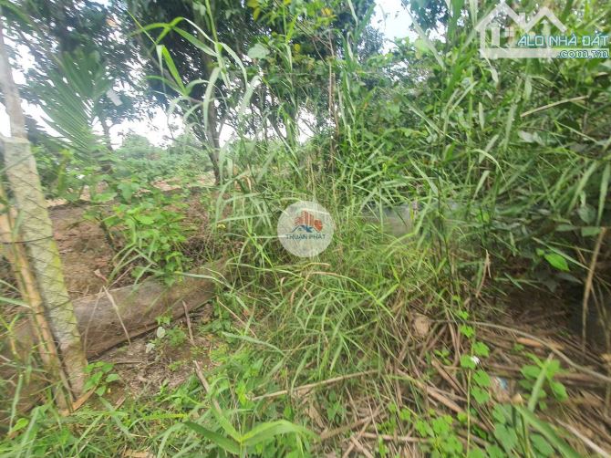 📌 SIÊU HOT: BÁN CẶP ĐẤT NỀN - KÊNH NGANG - TP. CAO LÃNH - 5