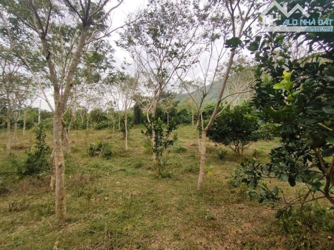 🔥 CƠ HỘI VÀNG! BÁN ĐẤT ĐẸP ĐÀ BẮC – 13.590M², SÁT CAO TỐC, GẦN TRUNG TÂM – ĐẦU TƯ SINH LỜ - 5