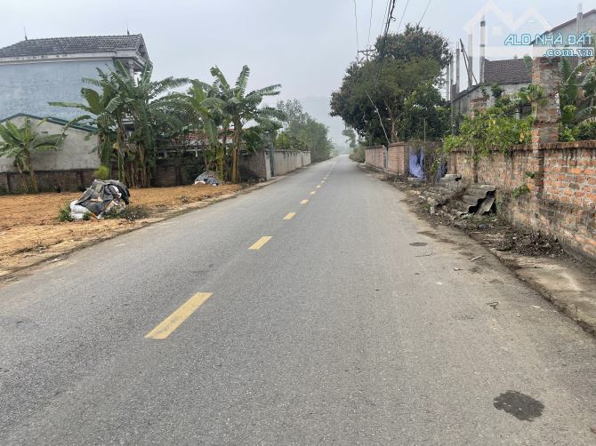 Cần bán 1200m2 đã chia làm 3 sổ mua 1 sổ cũng bán tại ngọc thanh vĩnh phúc - 6
