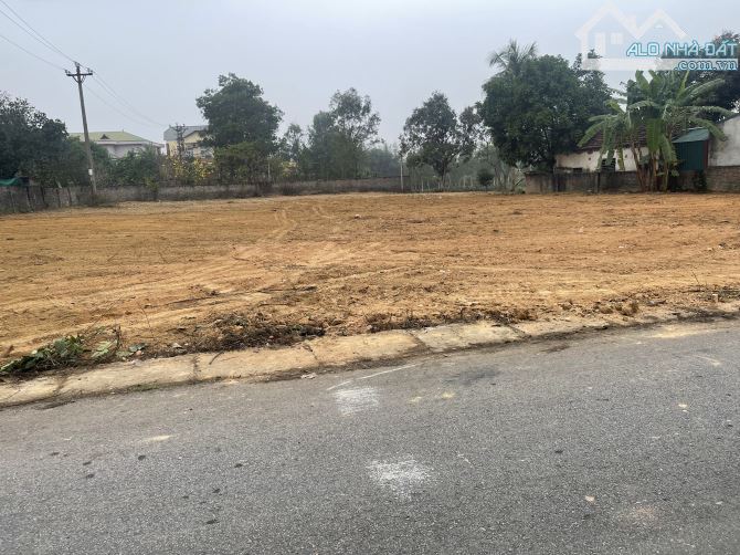 Cần bán 1200m2 đã chia làm 3 sổ mua 1 sổ cũng bán tại ngọc thanh vĩnh phúc - 7