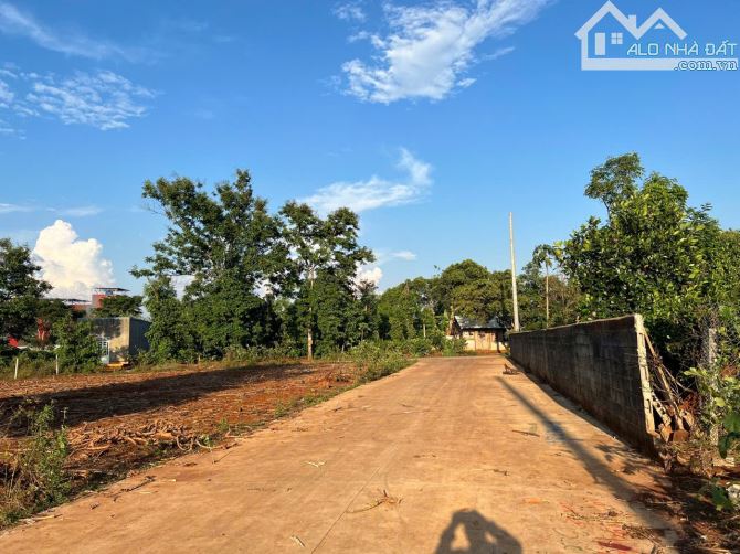 💥Đất hẻm Cây Phượng - Cư Suê 10 x 20m - giá 1.7 tỷ