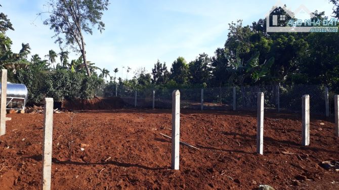 Bán đất hẻm cấp 1 đại lộ võ nguyên giáp