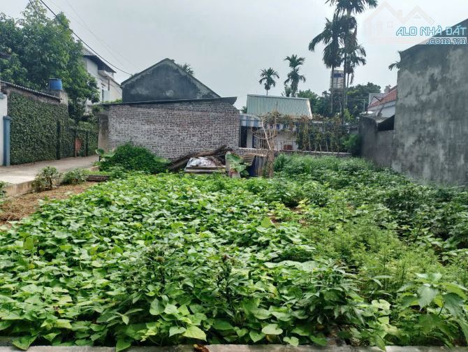 Bán đất hoàng văn thụ,oto vào tận đất,giá hơn tỉ