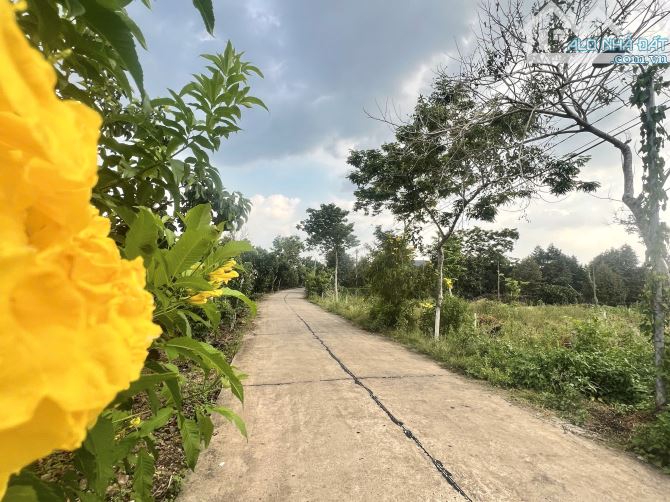 ✨ 5x35m (Full THỔ CƯ) đường Bê Tông 5M (QHLG: 20M) xe tải vi vu, Đất Đẹp Vuông vức - 510Tr - 1
