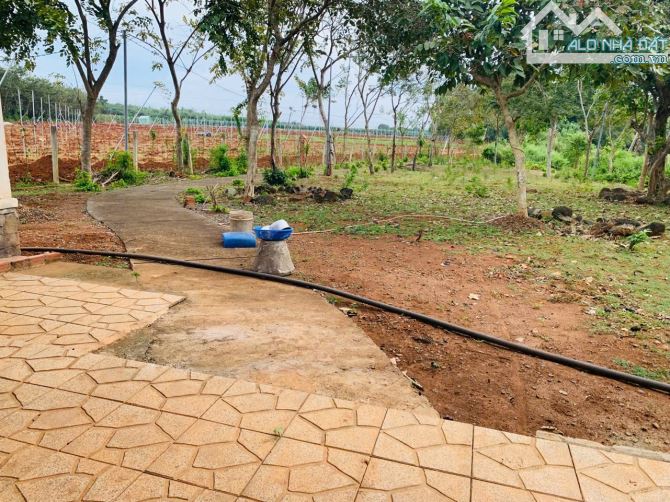 Bán Đất 2.1 Mẫu Có 300tc Tại Xã Long Phước, TP Bà Rịa - 1