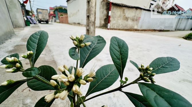 TRỤC YÊN NINH - Ở SƯỚNG - Đ.TƯ TỐT - Ô TÔ TRÁNH, TIỆN ÍCH CỰC ĐỈNH. DT: - 1