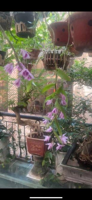BÁN NHÀ 53m - 14,7 Tỷ - HÀO NAM - ĐỐNG ĐA - THANG MÁY - GẦN PHỐ - ĐẸP THOÁNG Ở NGAY - 1