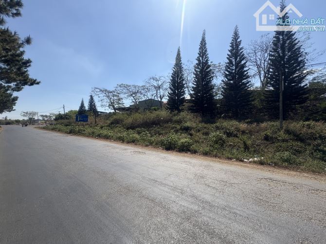 🌎 Đất mặt tiền Lý Thường Kiệt view ruộng - 1