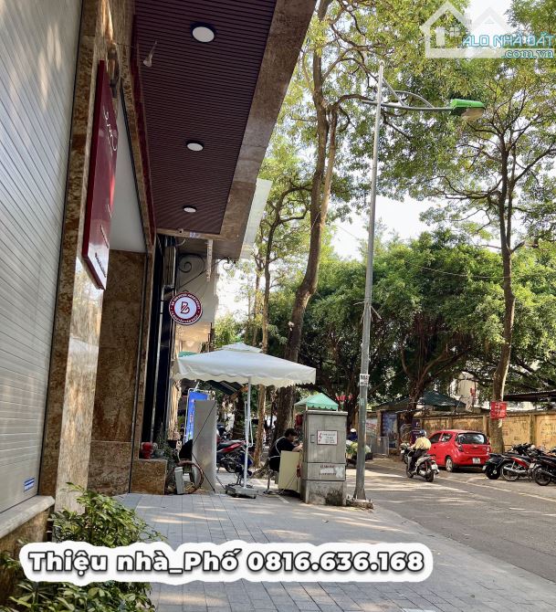 Nhà phố Cống Vị, Ba Đình – 87m², MT 5m, vỉa hè rộng, kinh doanh đỉnh, giá 38 tỷ - 1