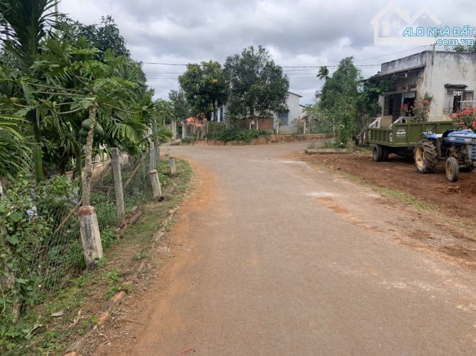 Bán đất hẻm cấp 1 đại lộ võ nguyên giáp - 1