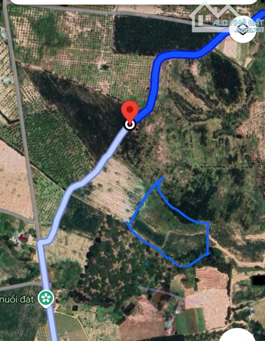 cần bán 1,4 mẫu đất lô 2  NGUYỄN  MINH CHÂU , THỊ XÃ LAGI BINH THUẬN, cach nhà nguyện 200M - 1
