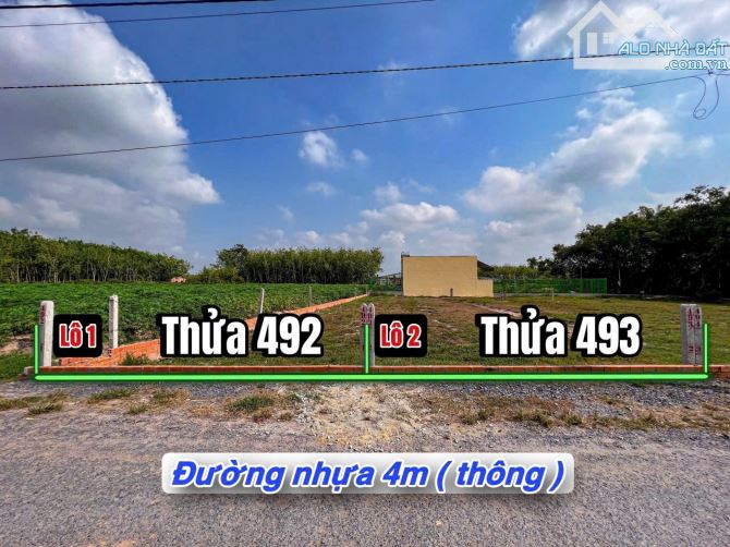 ✨ ĐẤT ĐƯỜNG NHỰA, GIÁ TIỀN ĐƯỜNG ĐẤT: Ngang 5m x Dài 25m (Full ONT). Nhà dân đông - 470Tr - 1