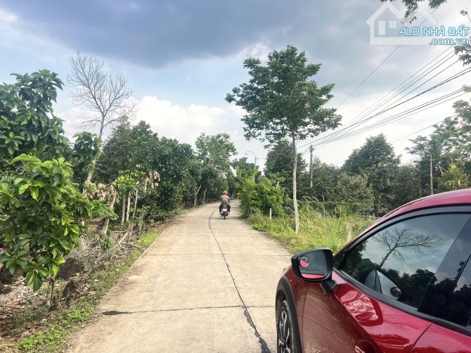 ✨ 5x35m (Full THỔ CƯ) đường Bê Tông 5M (QHLG: 20M) xe tải vi vu, Đất Đẹp Vuông vức - 510Tr - 2