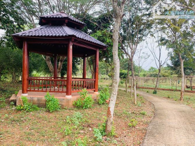 Bán Đất 2.1 Mẫu Có 300tc Tại Xã Long Phước, TP Bà Rịa - 2