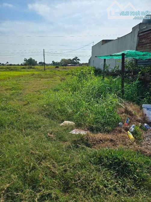 BÁN GẤP LÔ ĐẤT ĐẸP NỞ HẬU - GẦN CHỢ- TRƯỜNG HỌC MỸ HẠNH BẮC - 2