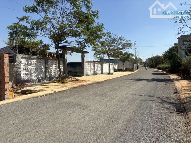 🌎 Đất mặt tiền Lý Thường Kiệt view ruộng - 2