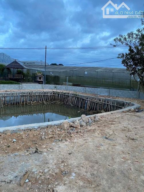 Giảm giá bán gấp Đất rộng Sổ Riêng – Giá Siêu Tốt 500m2 giá chỉ 4 tỷ - 2
