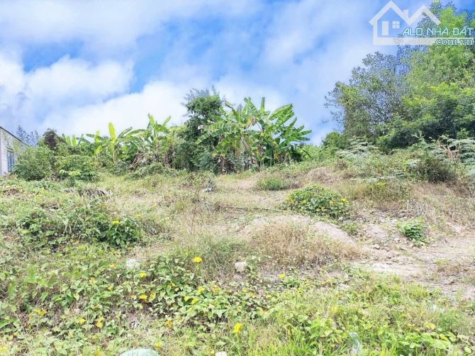 Bán Đất Mặt Tiền đường Bình Minh-Giang Điền, TB. 6x31. giá chỉ 4,3 tỷ - 2