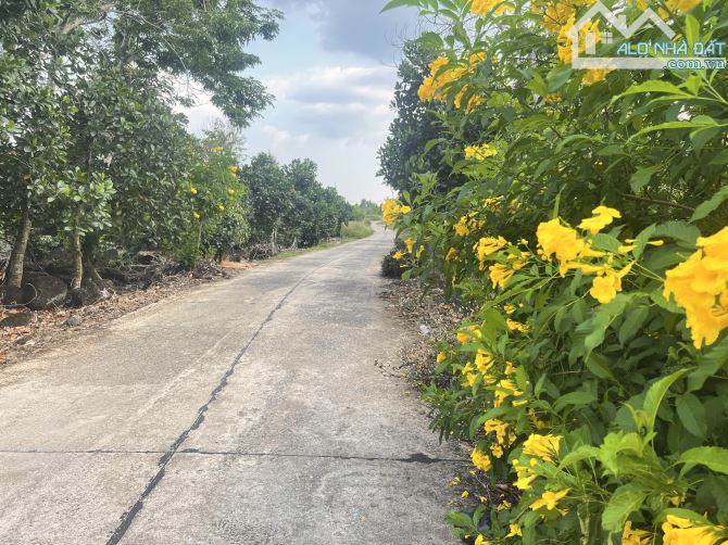 ✨ 5x35m (Full THỔ CƯ) đường Bê Tông 5M (QHLG: 20M) xe tải vi vu, Đất Đẹp Vuông vức - 510Tr - 3