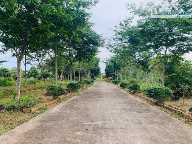 Bán Đất 2.1 Mẫu Có 300tc Tại Xã Long Phước, TP Bà Rịa - 3